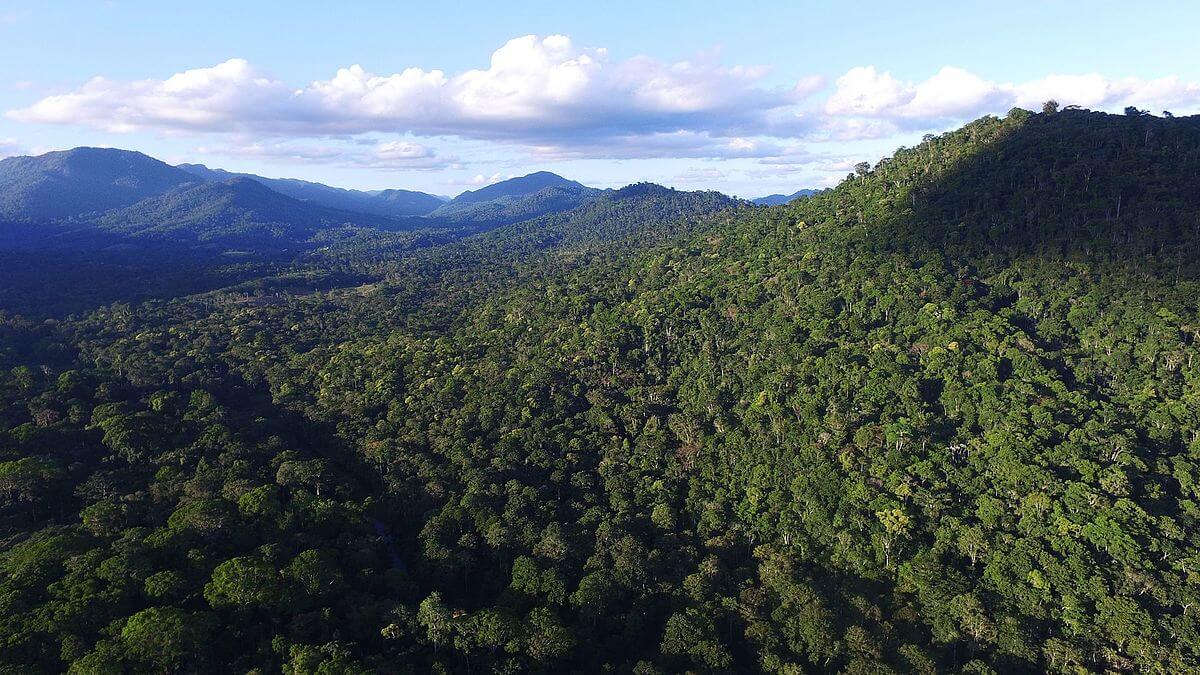 The Atlantic Forest or Mata Atlântica (South America) | LAC Geo